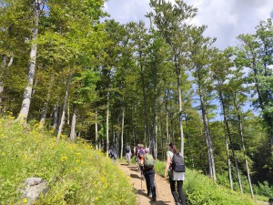 Sljeme 1