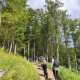 Sljeme 1